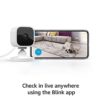 Blink Mini